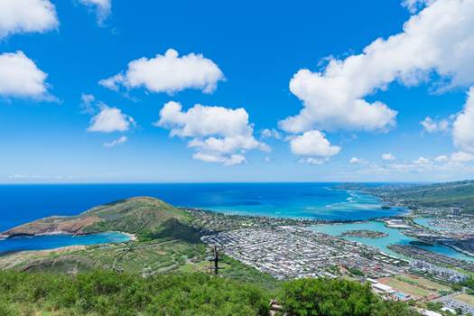 Hawaii Kyoikukai educational activities